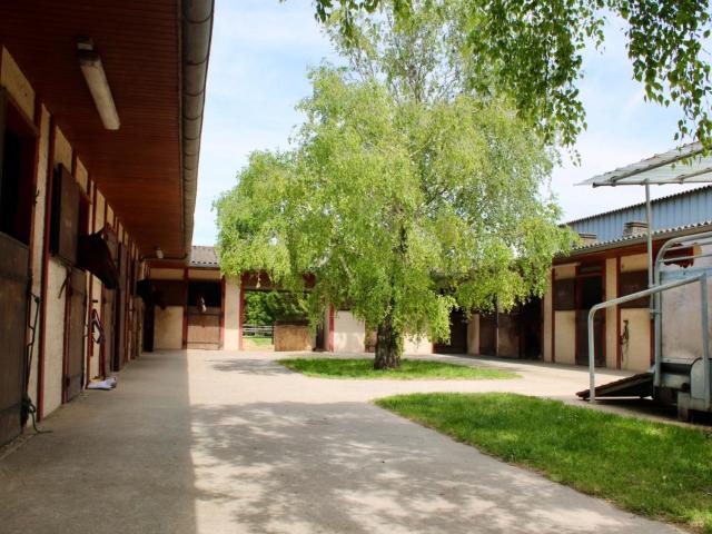 Les Églises d'Argenteuil Vente Maison 17