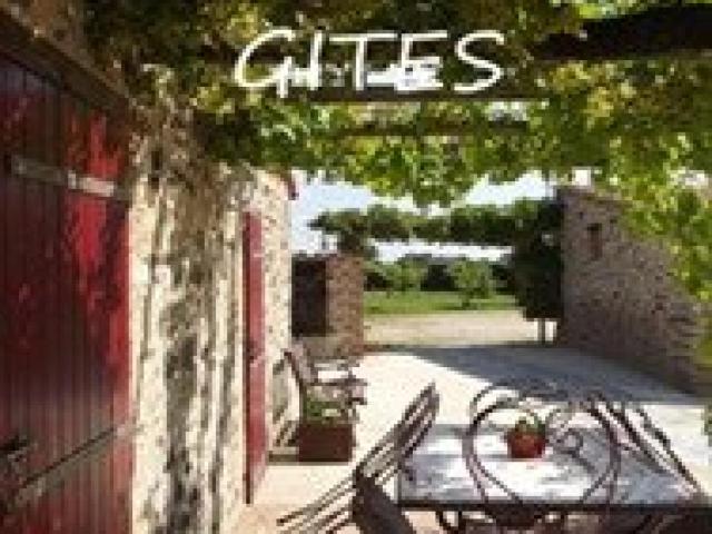 Les Essarts Vente Maison 85