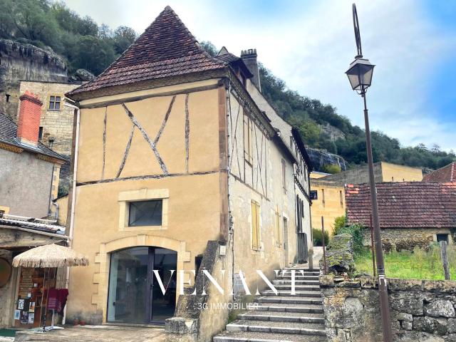 Les Eyzies de Tayac Sireuil Vente Immeuble 24