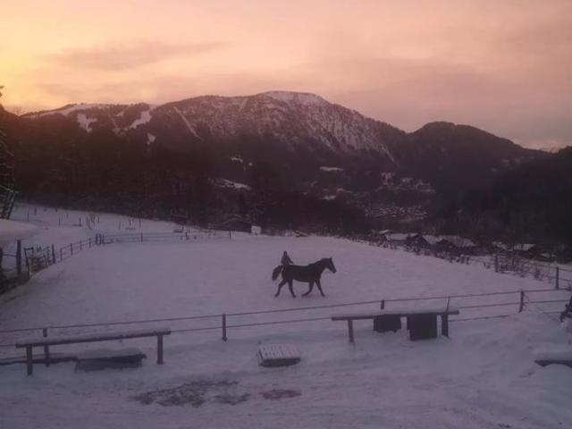 Les houches