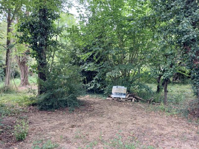 Les Hauts d'Anjou Vente Terrain 49