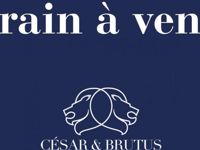 Les Haies Vente Terrain 69