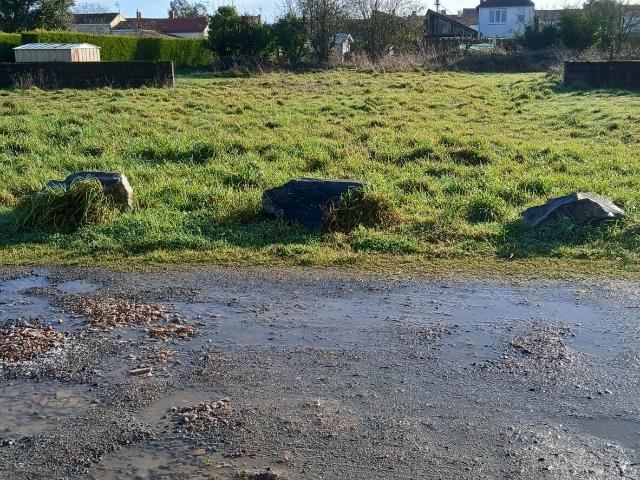 Les Landes Genusson Vente Terrain 85