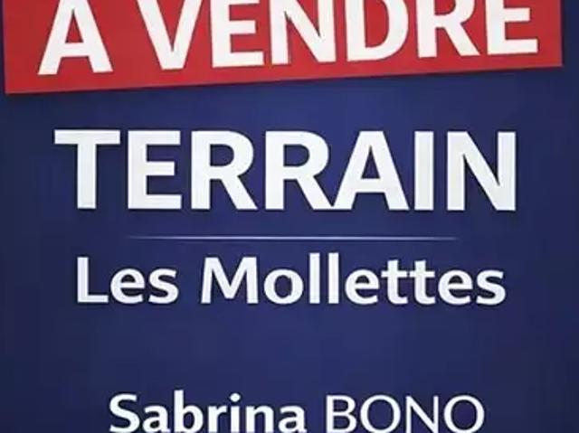 Les Mollettes 73800 Achat / Vente terrain