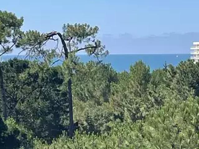 Les Sables d'Olonne 85100 Achat / Vente appartement 2 pièces t2 terrasse cave