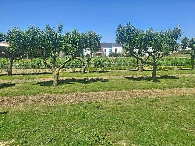 Les Sables d'Olonne Vente Terrain 85
