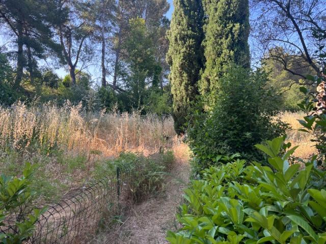 Les Pennes Mirabeau Vente Terrain 13