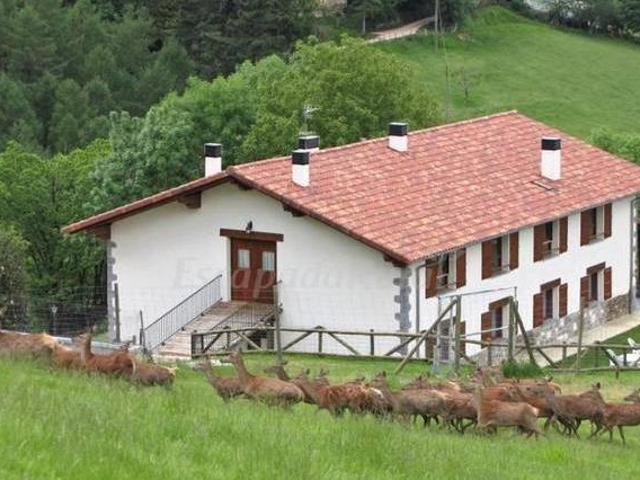 Lesakenea I y II