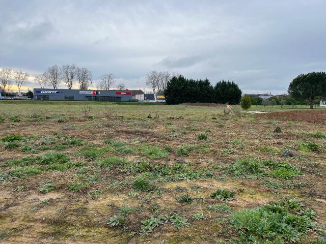 Lescure d'Albigeois Vente Terrain 81