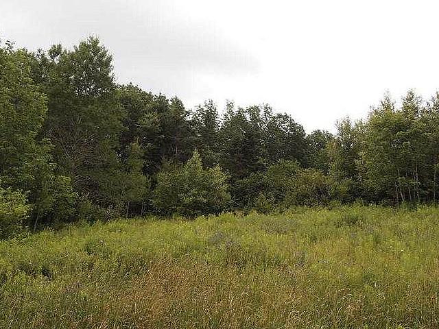 Lesliville Land Wanted