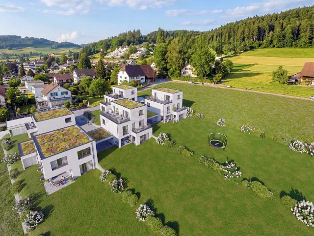 Letzte Gelegenheit: EFH in Reinach mit aussergewöhnlich viel Land