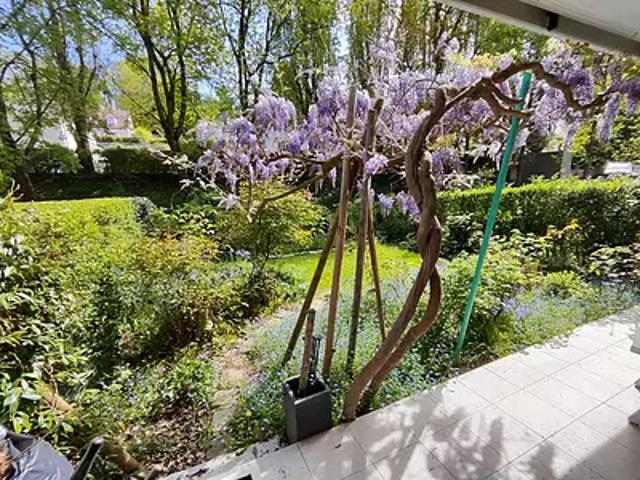 L'Etang la Ville 78620 Achat / Vente appartement 4 pièces t4 terrasse cave