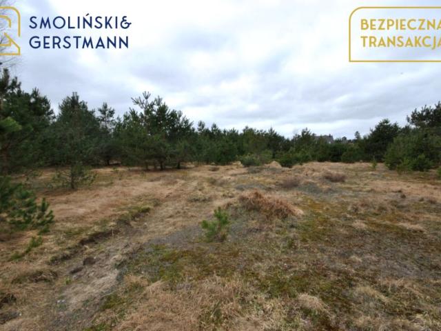 Letnia 11 500 m², Kowalewo