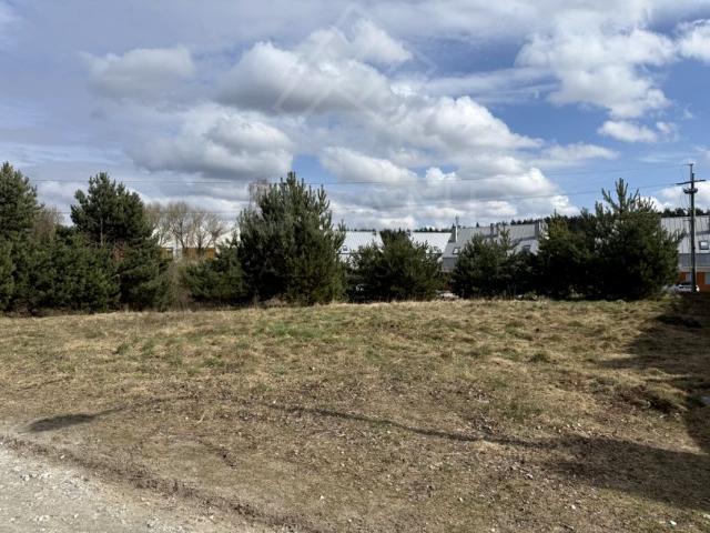 Letnia 1 076 m², Borówiec