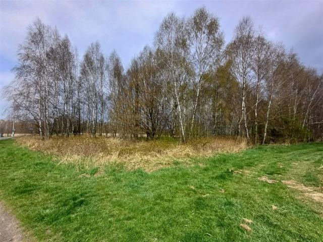 Letnia 6 901 m², Wodzisław Śląski