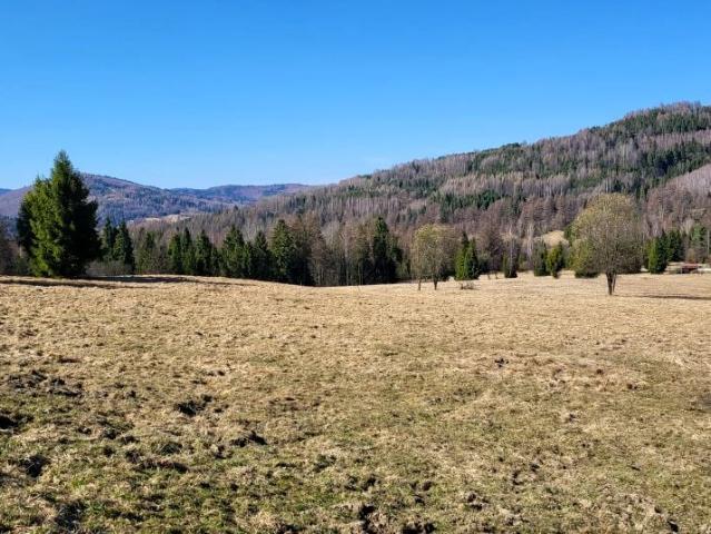 Letniskowa 1 400 m², Ujsoły