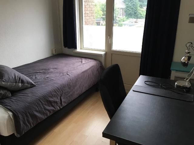 Leuke kamer in een gezellig studentenhuis