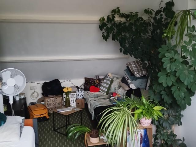 Leuke kamer in Groenekan