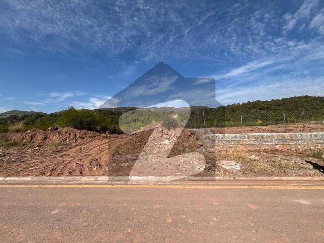 Level & Possession Farmhouse Plot with Extra Land Sector D