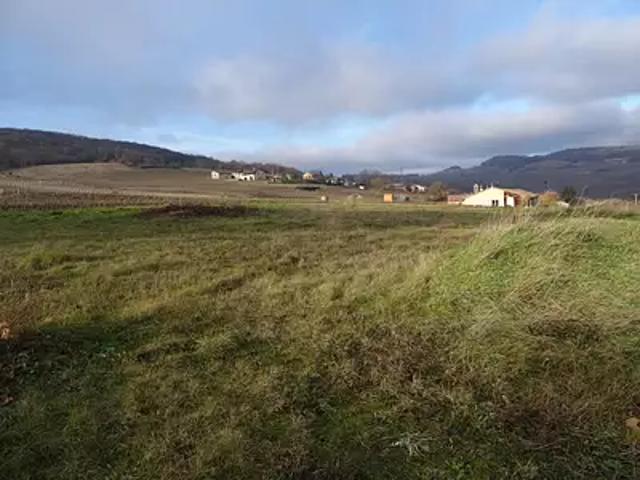 Leynes 71570 Achat / Vente terrain