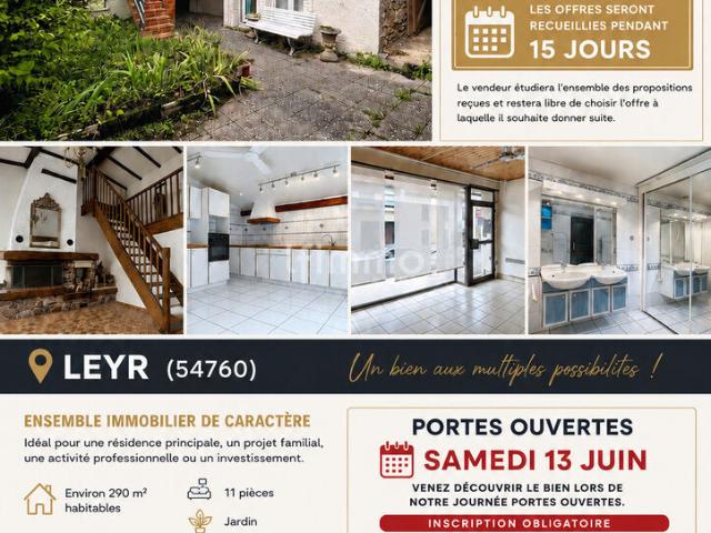Leyr Vente Maison 54
