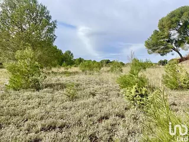 Lézignan Corbières 11200 Achat / Vente terrain
