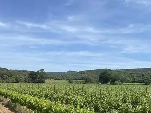 Lézignan Corbières 11200 Programme neuf terrain neuf à vendre