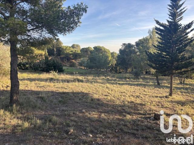 Lézignan Corbières Vente Terrain 11