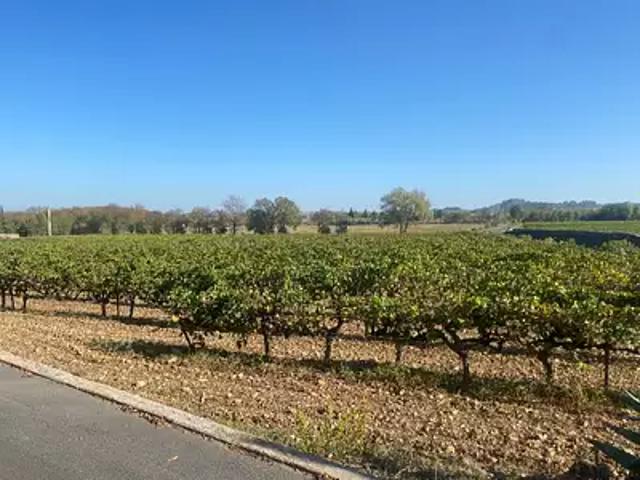 Lézignan la Cèbe 34120 Programme neuf terrain neuf à vendre