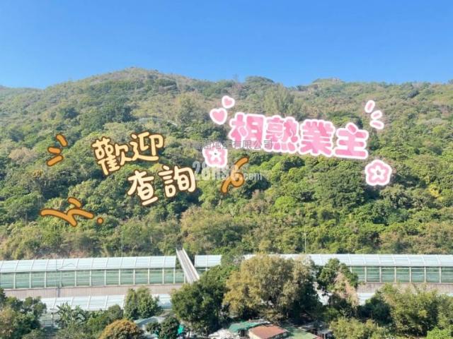 麗城花園 #3787 售盤樓盤詳細資料