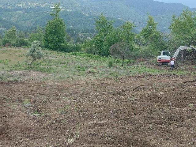 LİDER'DEN Muğla Menteşe Yemişendere'de Satılık 4 Dönüm Tarla