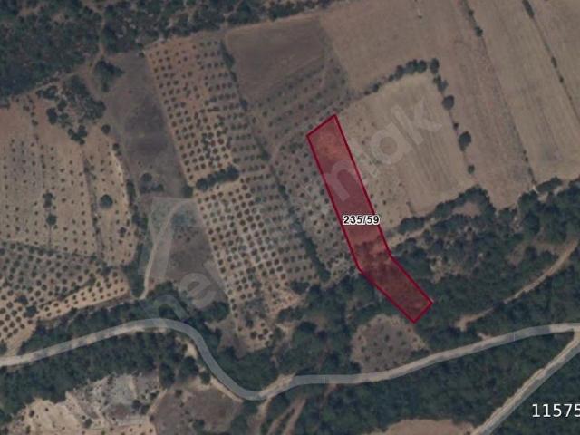 LİDER'DEN Muğla Menteşe Göktepe'de Satılık 2871 m Tarla