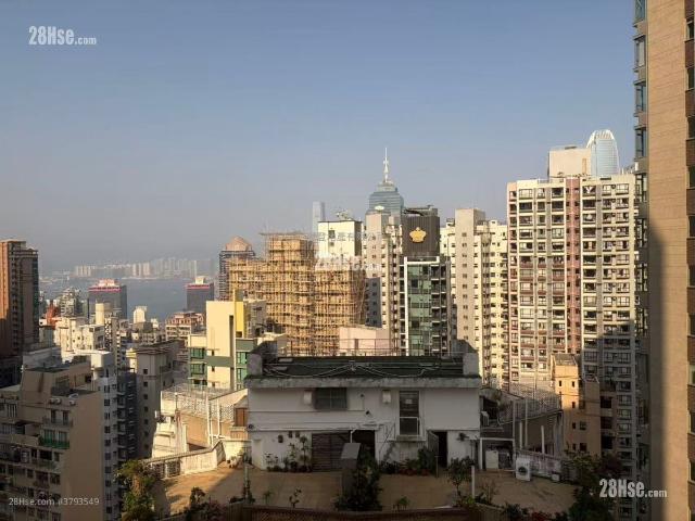 尚逸 #3793 租盤樓盤詳細資料