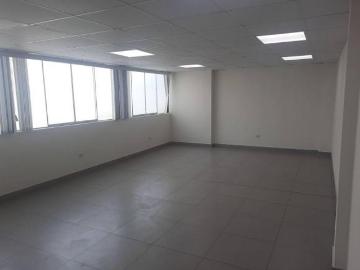 Lima Cercado. Alquilo exclusivas Oficinas de 249 y 119 m2