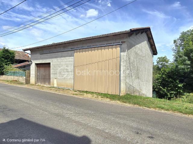 Limons Vente Immeuble 63