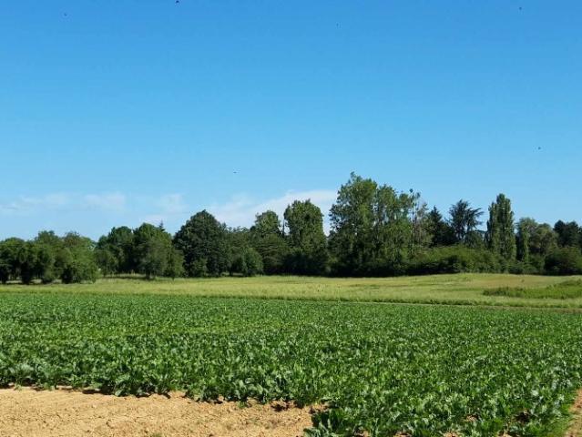 Limours Vente Terrain 91