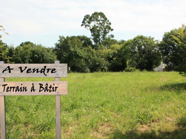 Limoux Vente Terrain 11