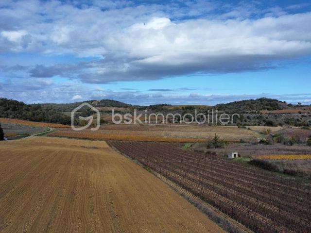 Limoux Vente Terrain 11