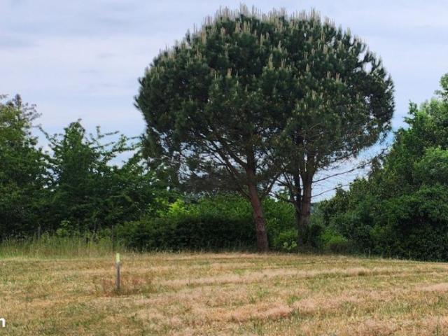 Limpiville Vente Terrain 76