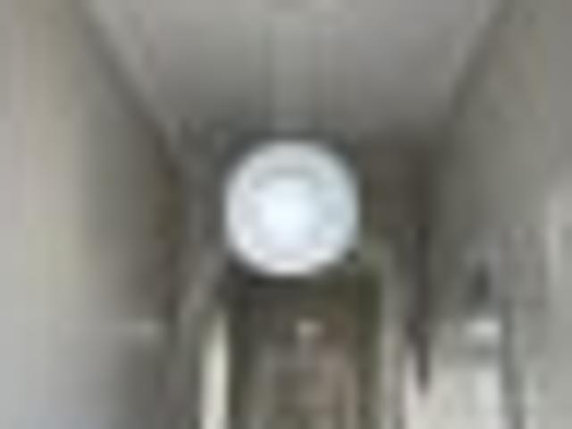 Linwood, 2 bedrooms, $520 pw