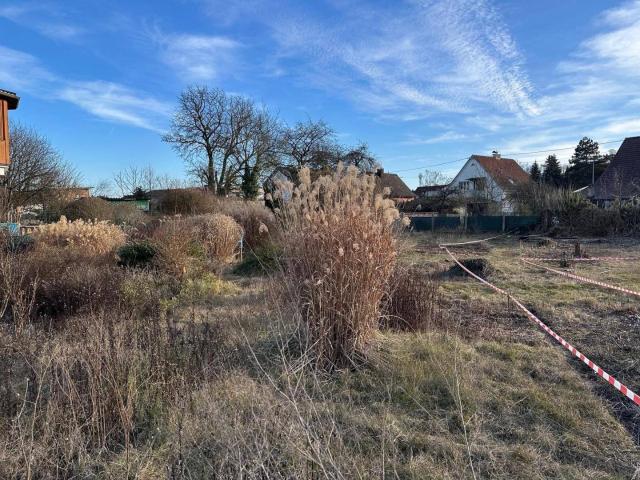LINZ / PICHLING: JETZT haben Sie endlich einen GRUND Ihr eigenes Haus zu bauen BAUGRUNDSTÜCK ca. 470 m² in begehrter Lage