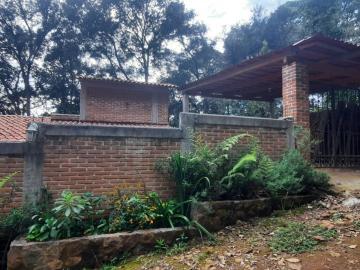 Linda casa en zona boscosa