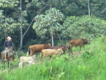 Linda finca de 46has en venta en Bolívar, Muisne, Esmeraldas