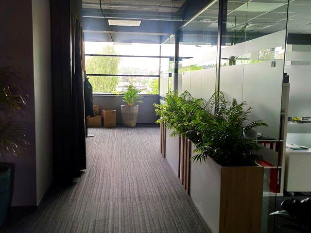 Lindego 270 m², Kraków