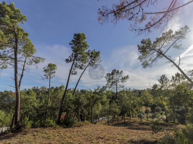 Lindíssimo de 14.000 m2 arborizado, Santarém, Achete