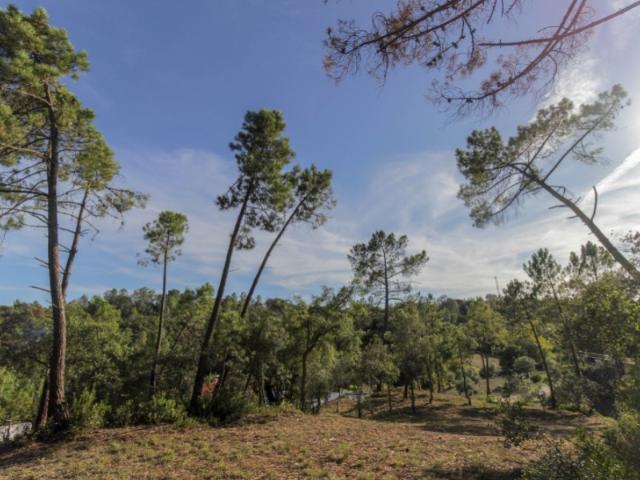 Lindíssimo terreno de 14.000 m2 arborizado