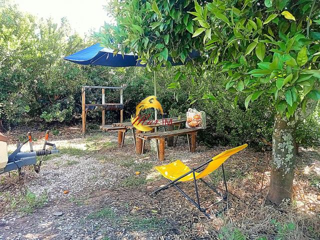 Lindo terreno com agua regadio, poço e ribeira, e plantação de frutos