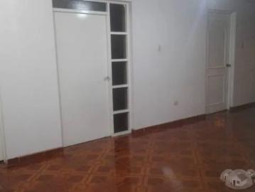 LINDO DEPARTAMENTO TOTALMENTE ACOGEDOR EN AVENIDA LOS ALISOS