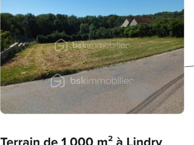 Lindry Vente Terrain 89