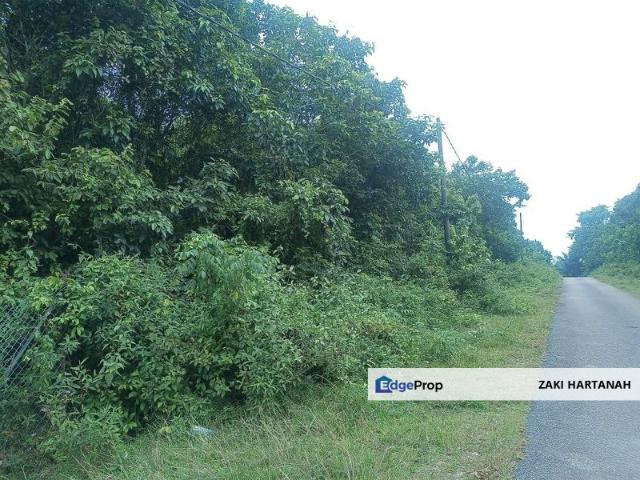 Linggi